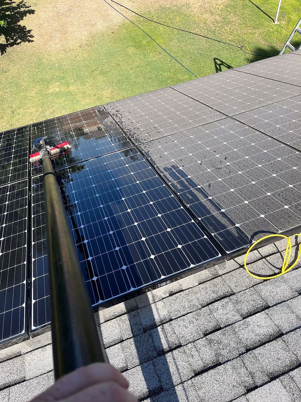 solar-panel-cleaning